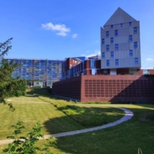 Cocktail des Flandes : Ypres, Ostende, Courtrai, Tourcoing et Lille 🇧🇪 🇫🇷